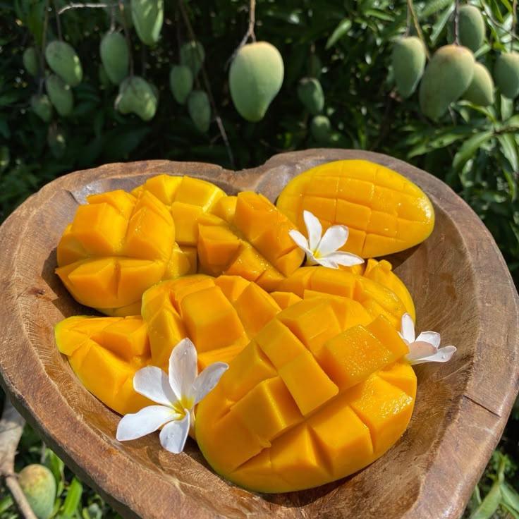 Sun-Kissed Roots and Fruits Ensemble